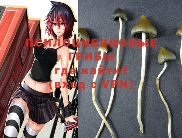 PSILOCYBIN Алексеевка