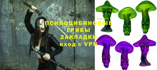 PSILOCYBIN Алексеевка