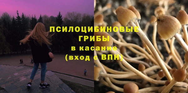 меф Алексин