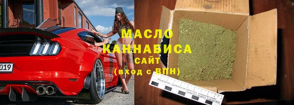 шишки Надым